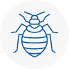Bed Bug Extermination In Briton Ferry